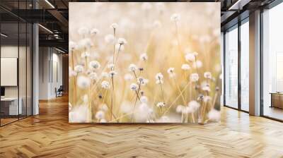 Close up little white flower in nature Wall mural