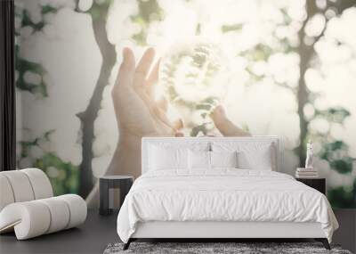 Human holding light bulb in nature selective soft focus, concept protect the environment Wall mural