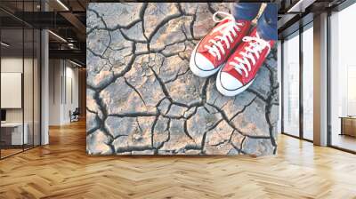 sneaker on crack dry ground, concept drought Wall mural