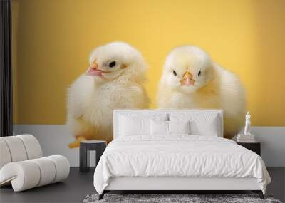 two fluffy yellow easter chicks looking like twins are perched side by side against a sharp yellow and white background Wall mural