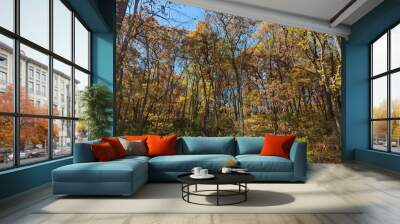 Colorful fall trees show off all of their leaves before they start to fall to the forest floor in this stunning Iowa autumn day. Wall mural