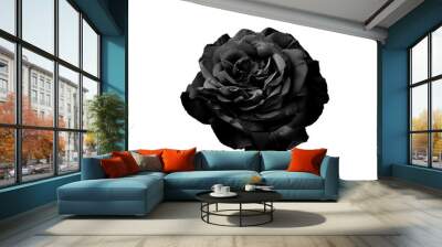 black rose Wall mural