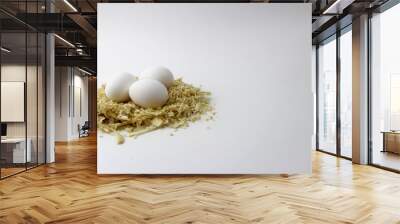 Chicken eggs in a nest of sawdust on a white background Wall mural