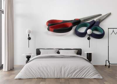 Endolar scissors on a white background Wall mural