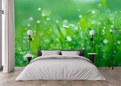 dew on grass Wall mural