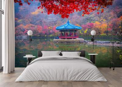 maples leaves in autumn at naejangsan mountain South Korea Wall mural