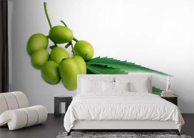 Medicinal neem leaves with fruit over white Background Wall mural