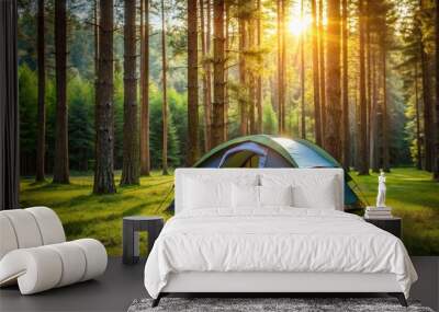 Camping tent on the green grass in the forest Wall mural