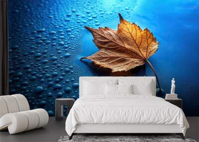 Wet leaf partially submerged in water reflecting on blue background Wall mural