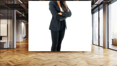 Full body portrait of a attractive businesswoman looking happy and successful Wall mural