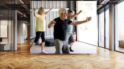 Group of elderly senior people practicing Tai chi class in age care gym facilities. Wall mural