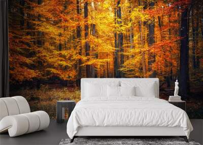 autumn park Wall mural