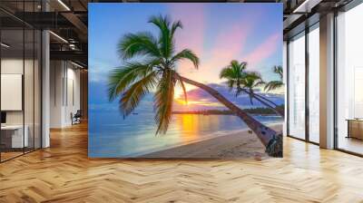 Beautiful sunrise over tropical beach and palm trees in Dominican republic Wall mural