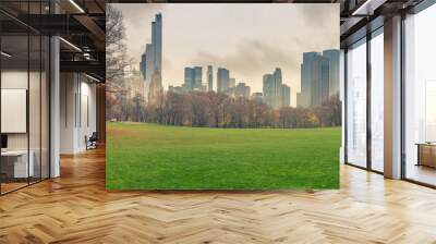 Central park at rainy day, New York City, USA Wall mural