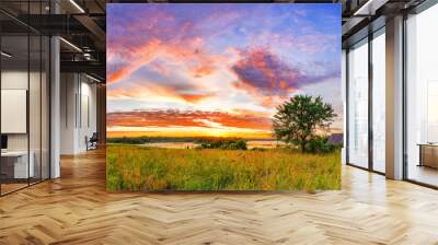 Panoramic view on sunset over old wooden hut and lonely tree in countryside Wall mural