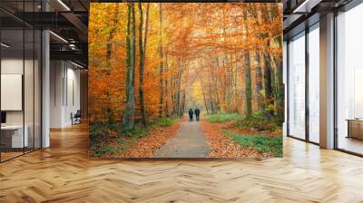 Pathway in the autumn forest Wall mural