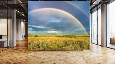 Rainbow over stormy sky. Rural landscape with rainbow over dark stormy sky in a countryside at summer day. Wall mural