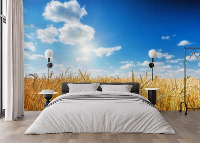 Rural landscape with golden wheat field over blue sky at sunny day. Wall mural