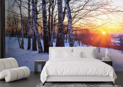 Winter park at sunset Wall mural