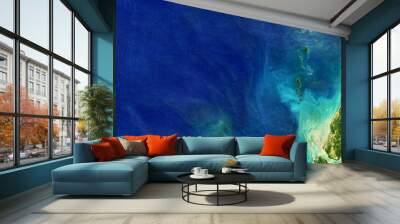 Sea taken from space, detailed Earth surface on global satellite photo. Elements of this image furnished by NASA. Wall mural