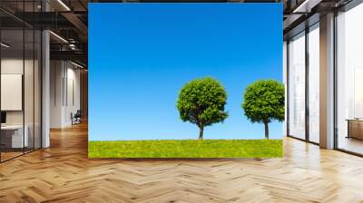 Two lonely trees in green meadow on blue sky background in summer Wall mural