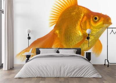 goldfish Wall mural