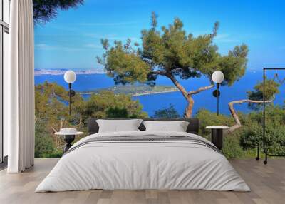 Landscape of the Princes Islands with a pine tree. Wall mural