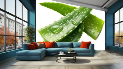 Fresh aloe vera leaves with water droplets, ideal for natural health and skincare concepts. cut out, png, isolated on transparent background. Wall mural