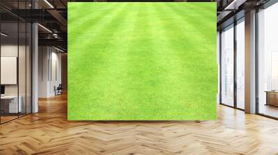 Beautiful green grass texture Wall mural