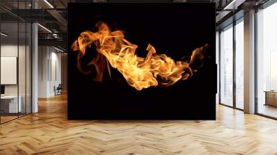 flame Wall mural