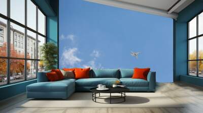 airplane in a cloudy sky Wall mural