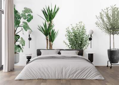 Beautiful plants in ceramic pots isolated on transparent background. 3D rendering. 3D illustration. Wall mural