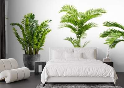 Beautiful plants in ceramic pots isolated on transparent background. 3D rendering. Wall mural