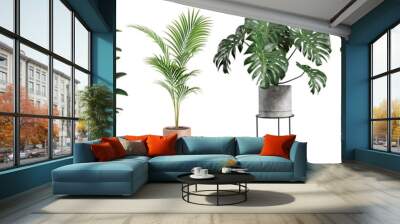 Collection of beautiful plants in ceramic pots isolated on transparent background. 3D rendering. Wall mural