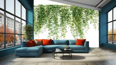 Group of Mucuna Pruriens creeper plants isolated on transparent background. 3D render. Wall mural