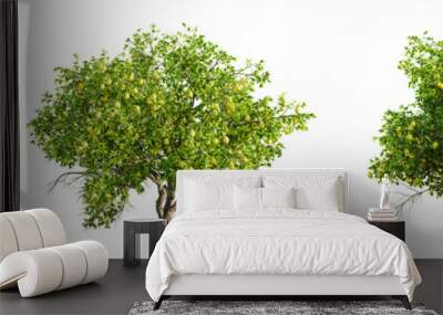 Lemon tree isolated on transparent background and selective focus close-up. 3D render. Wall mural