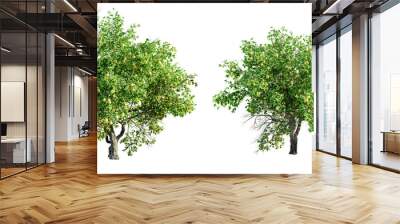 Lemon tree isolated on transparent background. 3D render. Wall mural