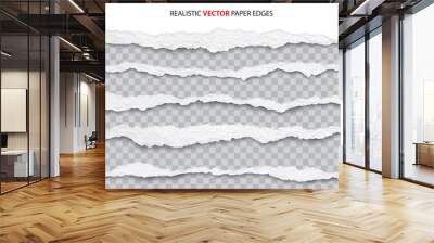 realistic torn paper edges vector Wall mural