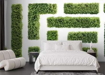 Set of hedge elements isolated on transparent background. Top view.  3D render. Wall mural