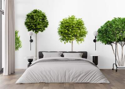 Set of various urban trees isolated on transparent background. 3D render. Wall mural