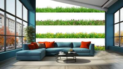 Various borders of green grass, dandelions and clovers, isolated on transparent background. 3D render. Wall mural