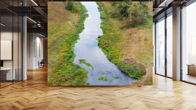 A river with a green plant growing on it Wall mural