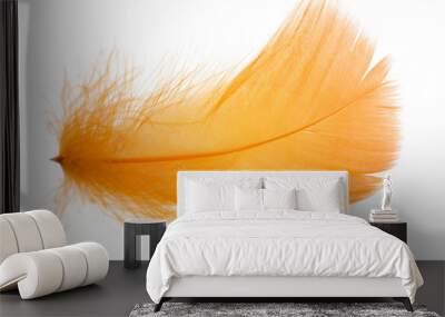 Beautiful orange feather on white background Wall mural