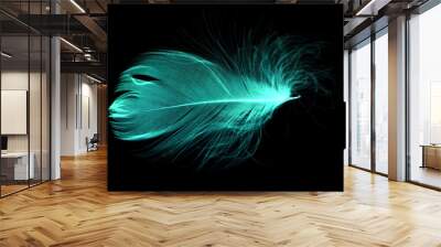 Blue feather on a black background Wall mural