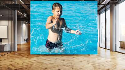 boy swims with a splash in the water park Wall mural