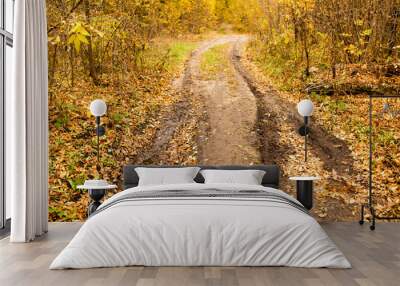 dirt road in the autumn Wall mural