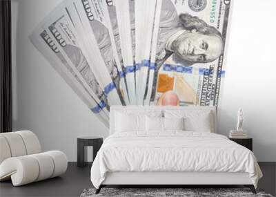 Dollars in hand on a white background Wall mural