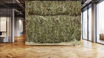 Dry hay as an abstract background Wall mural