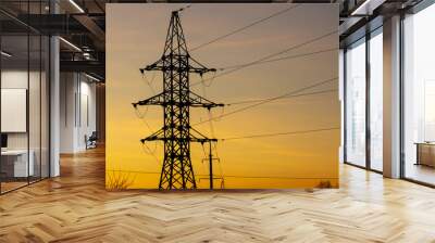 Electric pole with wires on a sunset background Wall mural