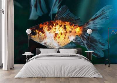 fish in aquarium Wall mural